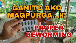 MGA PAMAMARAAN KO SA PAGPUPURGA NG AKING MGA MANOK/PROPER DEWORMING |THE FARM BOY VLOG