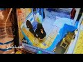 لحظة القبض على سارقات الذهب بصنعاء