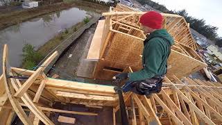 Top plate Framing Trusses POV