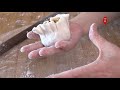 『eng sub』阿婆【糯米烧卖】几点小技巧 轻松又漂亮 glutinous rice siu mai【田园时光美食 2018 099】