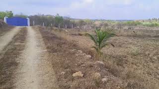 DHARMAPURI..DIS  1 ACRE RATE....19L....9952163459