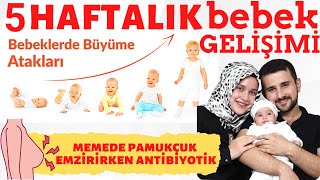 5 Weeks Baby Development (DETAILED EXPLANATION) w/ @Rabia ŞAHİN