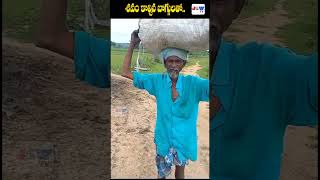 శవం కాల్చిన బొగ్గులతో మొక్కజొన్న పొత్తులు #corn #viralvideo #shockingvideo #jswtvshorts