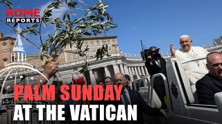 ✝️ HOLY WEEK | Palm Sunday at the Vatican