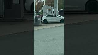 Drunk Tesla  Owner At Gas Pumps #tesla ￼