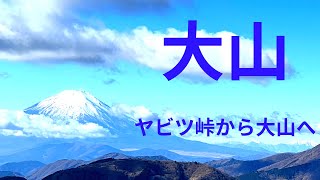 「大山」ヤビツ峠からイタツミ尾根で大山へ