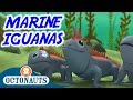 Octonauts - The Marine Iguanas | Full Episode | Cartoons for Kids