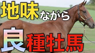 【過小評価】あまり目立たないけど実は走る！そんな種牡馬2頭。