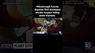 #hillsboroughcounty deputies find attempted murder suspect hiding under blankets #crime