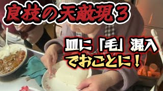 【関慎吾】良枝カレーを作る  親子でカレー食べる！ 20231215