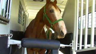 Balanced Ride™ 2+1 Rear Facing Horse Trailer