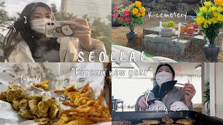 VLOG | i spent 2021 Seollal aka Korean New Year in Korea within the pandemic (kor/eng)