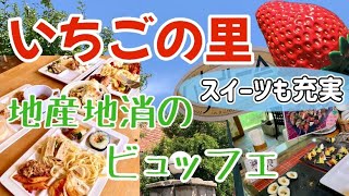 栃木県小山市【いちごの里】収穫したフルーツを使ったスイーツや地産地消のビュッフェ🍓