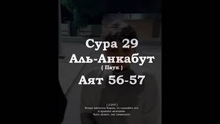 ﷽ | Сура 29 Аят 56-57| 📚 Сура : « Аль-Анкабут » (Паук) | 🎙️ Чтец:  « Неизвестен ».