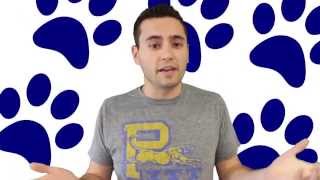 Tips For Pittstart: A Guide For Freshmen
