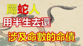 十二生肖，2024生肖運勢生肖蛇之人，十二生肖當中，有所謂紅肖與黑肖之說，而紅肖其實是按照五行的計算方法去斷定的，紅色在五行中是火，所以可以理解為，紅肖是屬性為火的生肖。屬蛇人就是紅肖的命格特徵