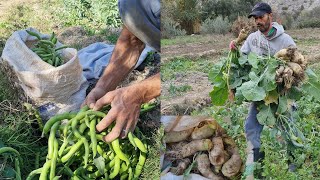 أجيو تشوف أحسن منتجات الفلاحين في أيت وياغر والهدوء ومناظر رائعة..نواحي الحسيمة