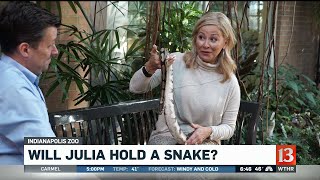 Face Your Fears - Julia conquers her fear!
