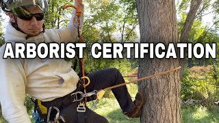 Should You Get Your Arborist Certification?