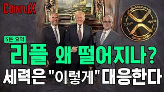 🚨리플코인 전망🚨연휴를 위한 단기 조정?! 세력 따라 \