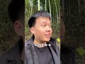 看来不是所有的冬笋都像我家后山的竹林一样好挖……挖冬笋 农村生活 挖笋的乐趣只有体验过才懂