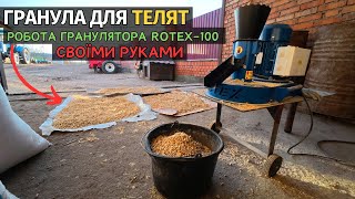 Роблю дешеву гранулу для відгодівлі телят! Перша робота гранулятора ROTEX-100. Телята їдять шикарно!