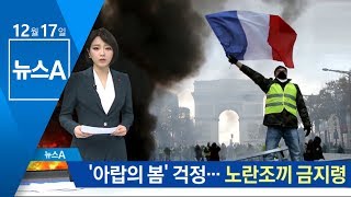 ‘아랍의 봄’ 사태 걱정…이집트, 노란조끼 금지령 | 뉴스A