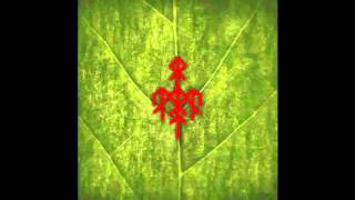 Wardruna - Runaljod - Yggdrasil   (Full Album)