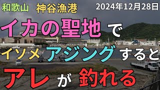 イソメアジングをすると、アレが釣れる