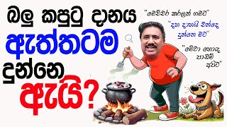 Lesson 695– බලු කපුටු දානෙ කාට දුන්න පනිවිඩයක්ද?  -English in Sinhala |  Ideal guide to English