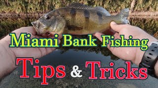 South Florida: Urban Miami Canal Fishing Tips!!