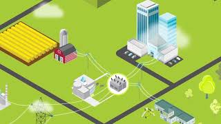 Distribution System Operators