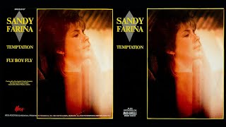 Sandy Farina - Fly Boy Fly