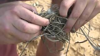 Making Fire at Bushman's Village