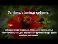 БҰЛ ШЫНДЫҚ Уақиға сүресінің құдіреті ризық сізге ағылып келетін болады байлық ақша