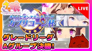 【ウマ娘】カプリコーン杯決勝戦！【新人Vtuber】