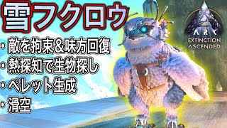 テイム必須！？ 超有能生物の雪フクロウをトラップ無しで簡単テイムしてみたww 【ASA:Extinction】 #3