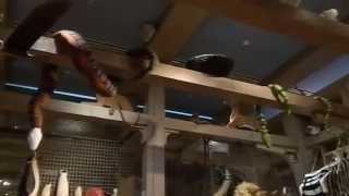 Noah's Ark - Skirball Cultural Center - 8/8/13 - part 2