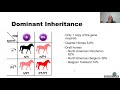 managing pssm in horses