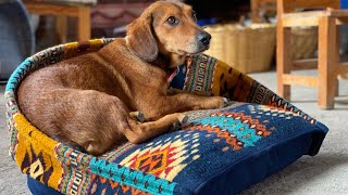 CAMITAS DE PERROS ZAPOTECAS. Artesanos de Teotitlán del Valle reinventan uso de sus telares de pedal