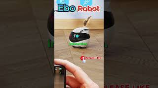 Is Enabot worth it? #robot #ai #robotics #eborobot #ebo #usa #shorts #airobot #lonely #trending #fun