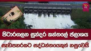 පිටාරගලන සුන්දර කන්තලේ ජලාශය  සැඩපහරකට සද්ධන්තයෙකුත් හසුවෙයි  - Kantale Reservoir| Rupavahini News