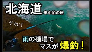 【 車中飯を満喫 】荒れた北海道の海で海サクラを狙う旅