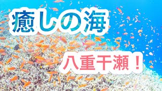 八重干瀬が美しすぎるのでD850で本気撮りラストボツも含めて作品紹介！【至高の宮古島④】