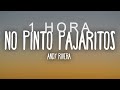 Andy Rivera - No Pinto Pajaritos (Letra/Lyrics)| 1 HORA