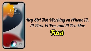 Hey Siri Not Working on iPhone 14, 14 Plus, 14 Pro, 14 Pro Max (Fixed)