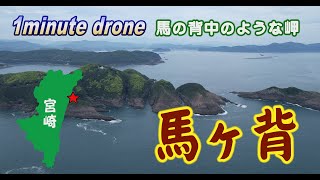 【1min. drone #95】宮崎県日向市・馬ヶ背～馬の背中のような岬～