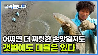 대부도 묵직한 갯벌에 나타난 투망 삼총사! 이런 곳에도 대물이 있다고? 역대급 사이즈 잡고 바로 썰어먹는 숭어회｜한국기행｜#골라듄다큐