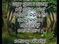 ମାତ୍ର ଅଢେଇ ବର୍ଷରେ ଦେଢ଼ କୋଟି ଟଙ୍କାର କମ୍ପାନୀ ଠିଆ କଲେ ଏହି ତୀନି ମହିଳା emissions story in odia