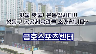 성동구 공공체육관을 소개합니다: 금호스포츠센터